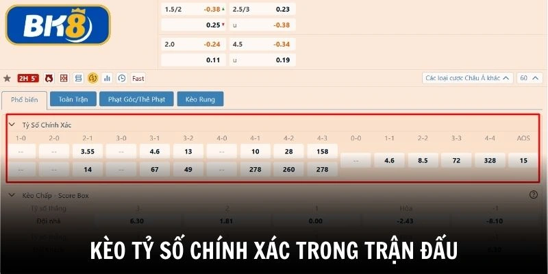 Đặt cược tỷ số chính xác khi cá cược thể thao BK8