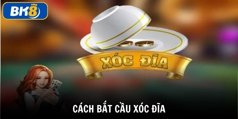 Cách bắt cầu xóc đĩa những mẹo bắt cầu xóc đĩa dành cho dân chơi mới