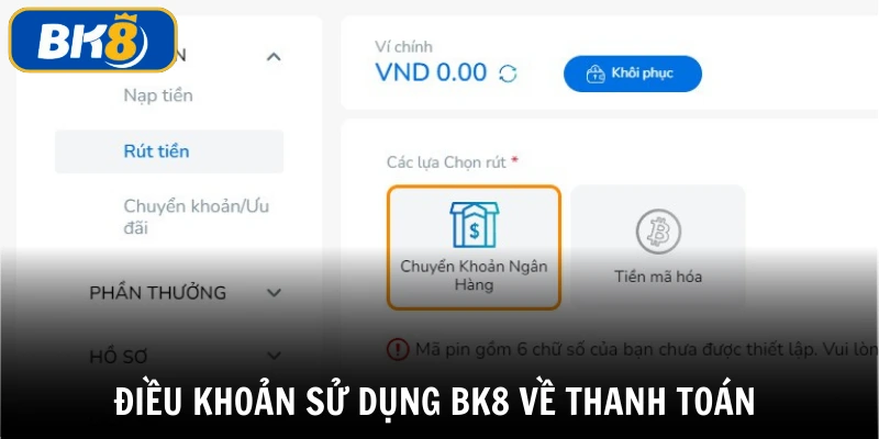 Điều khoản sử dụng - Thanh toán nạp / rút tiền tại BK8