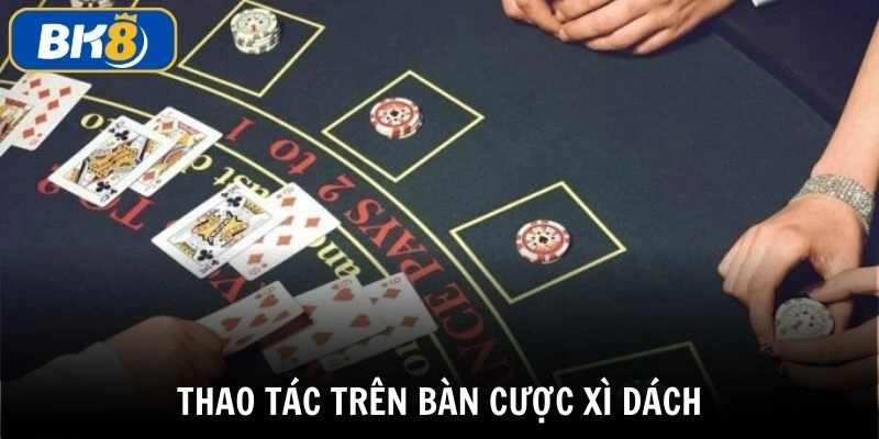 Thao tác có thể thực hiện khi tham gia bài xì dách BK8